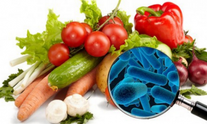 Doenças Transmitidas por Alimentos: contaminação de alimentos
