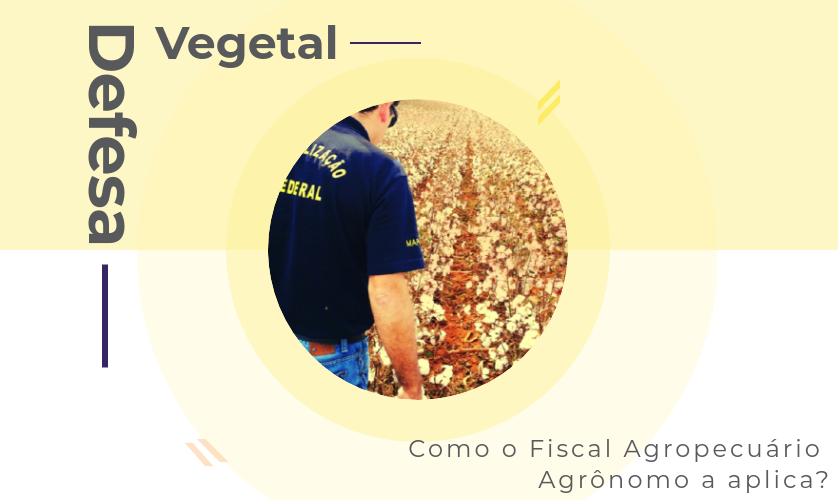 Defesa Vegetal – como o Fiscal Agropecuário Agrônomo a aplica?