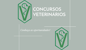 Concursos veterinários: conheça as oportunidades