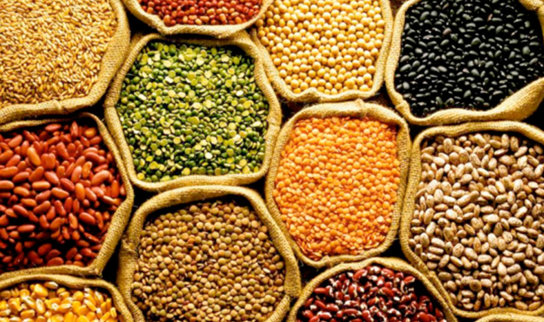 Um Olhar Agronômico Sobre Segurança Alimentar, Nutrição e Saúde