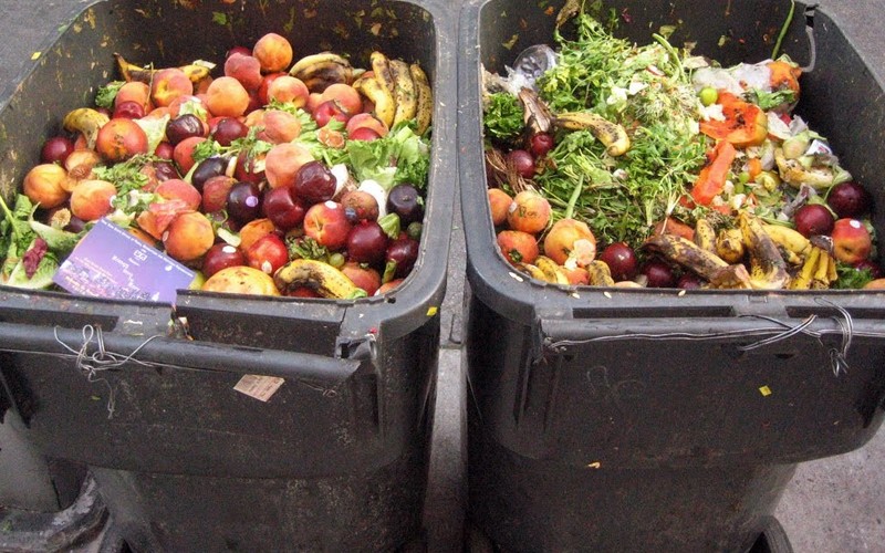 Perda e Desperdício dos Alimentos: aspectos agronômicos, políticos e ambientais