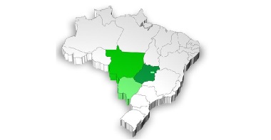 A expressividade da produção de grãos no Centro-Oeste no setor agrícola brasileiro