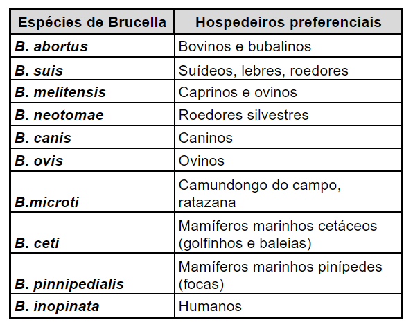 Brucelose: Espécies de Brucella e hospedeiros preferenciais