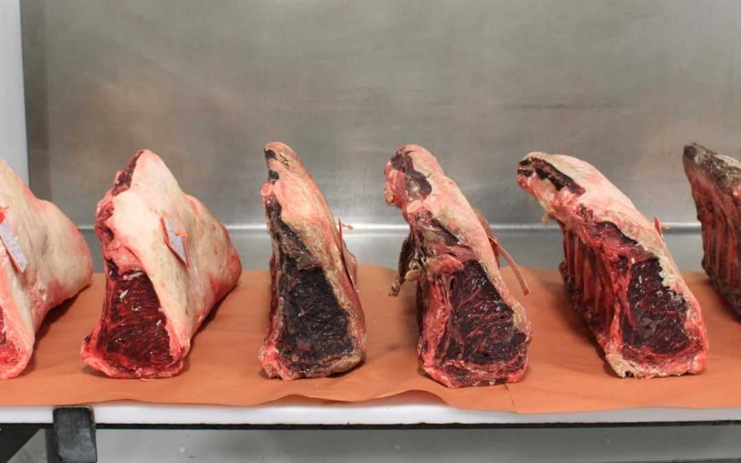 Carne maturada: o que é, como maturar a carne, vantagens e desvantagens