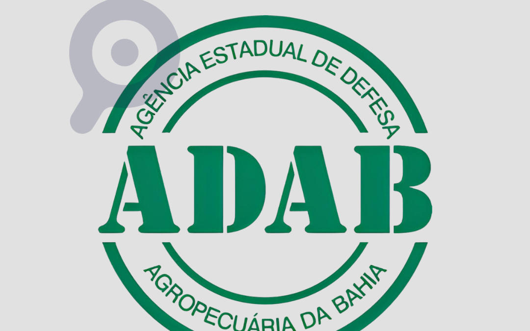 Concurso ADAB 2026: edital, etapas, cronograma e tudo o que você precisa saber
